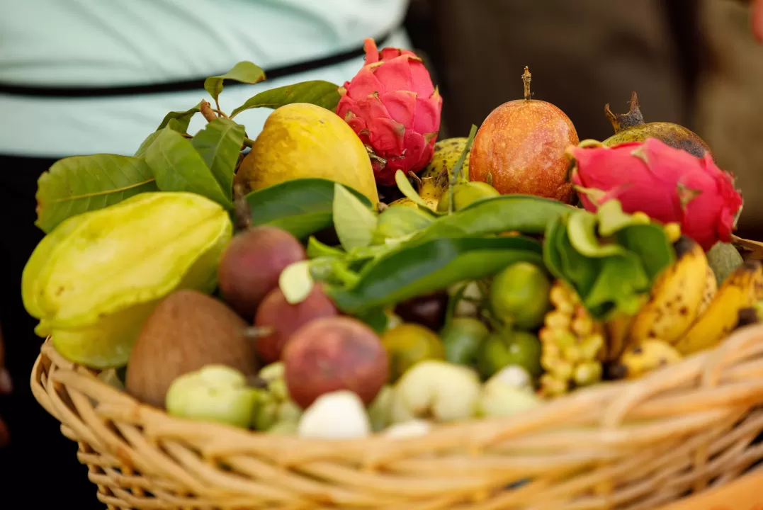 Fruit basket