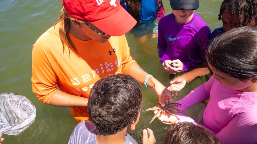 kids looking at starfish