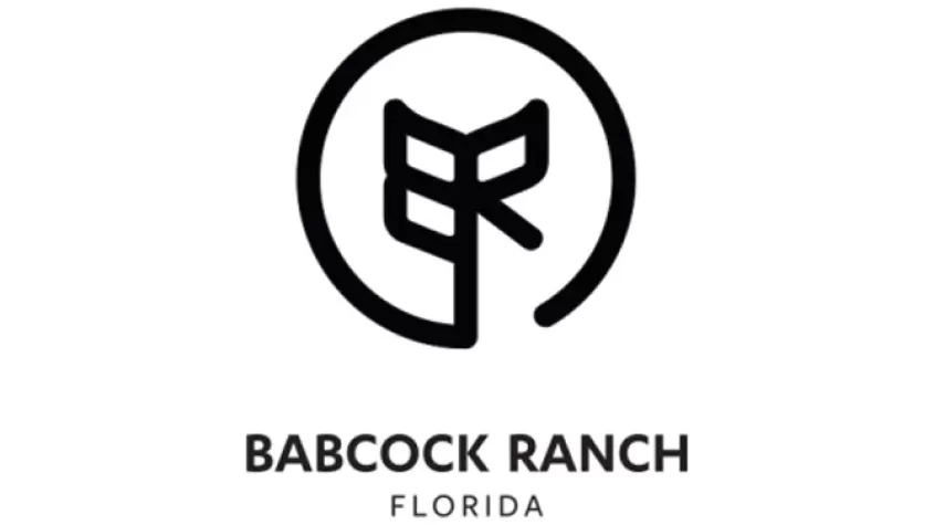 BR Logo