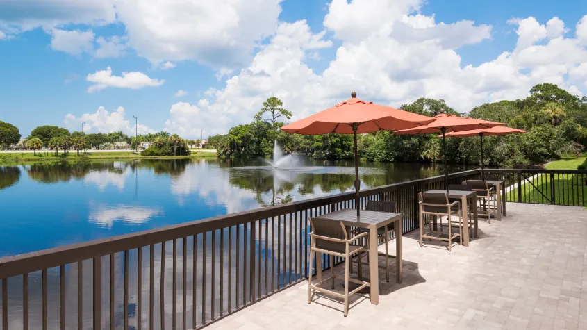 Lake View 