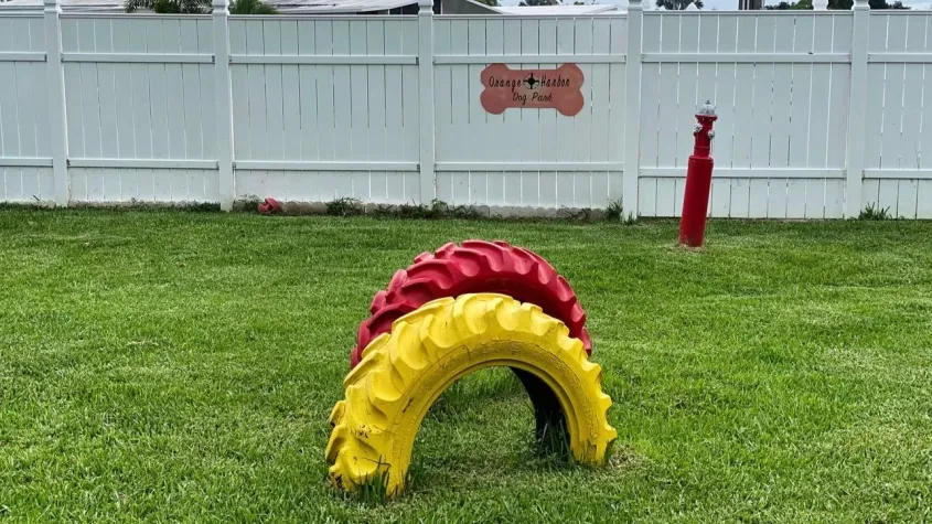 Dog park