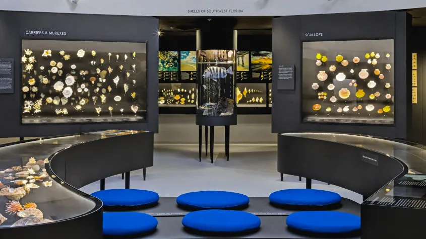 Great Hall of Shells