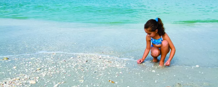 vcb_shelling_on_turner_beach.jpg