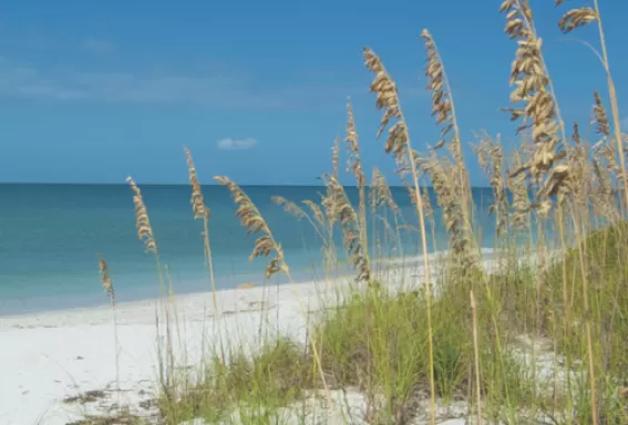 Enjoy beautiful Fort Myers beaches
