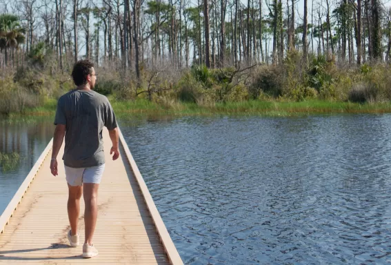 Explore nature in the Fort Myers area