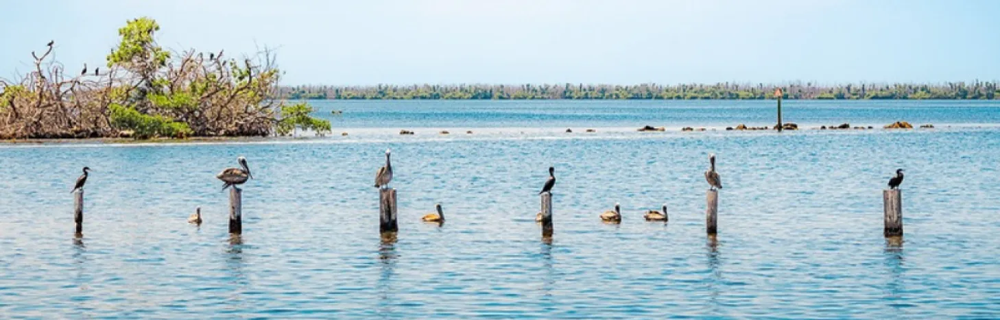 New User-Friendly Parking