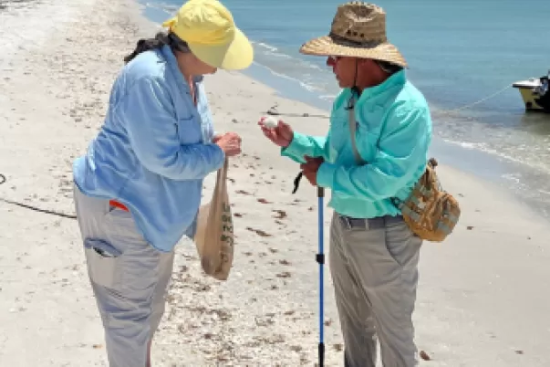Captain Brian is your perfect guide for shell-collecting.